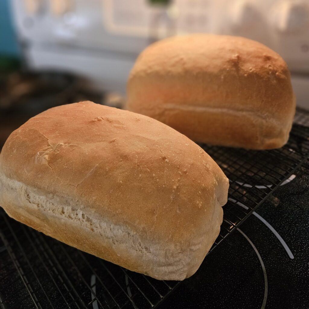 Sourdough Sandwich Bread
