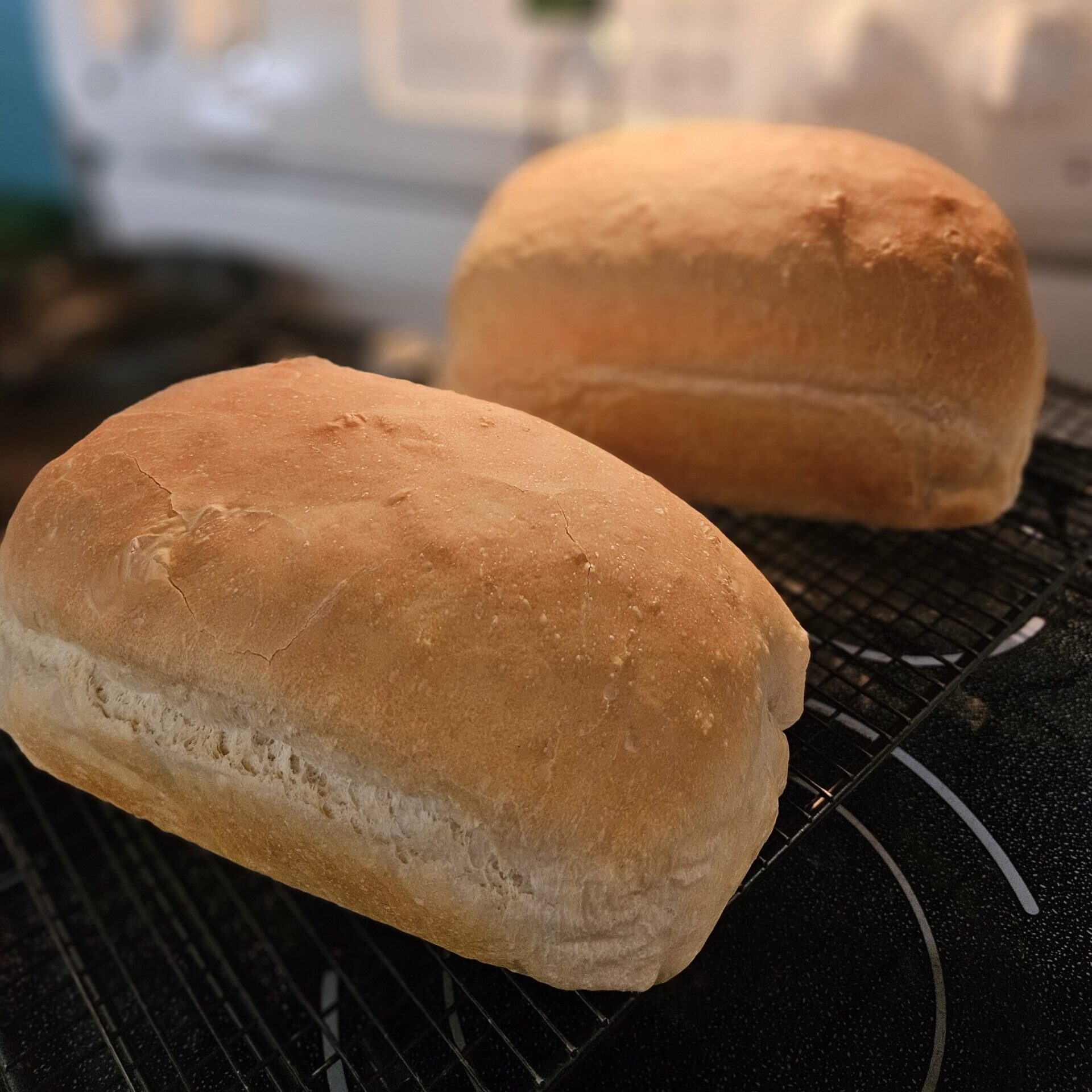 Sourdough Sandwich Bread