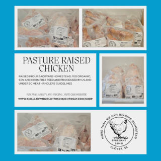 From our backyard homestead to your freezer.

We are stocked with pasture-raised chicken! We have a variety of cuts available, including whole chickens, breasts, wings, and leg quarters as well as bone broth kits! Quantities are limited, so check the website to see what's still available and place your order!

Our link is in our bio, but feel free to message us with any questions.

#knowyourfarmer #knowwhereyourfoodcomesfrom
#backyardhomestead