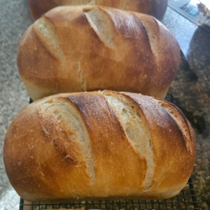 Sourdough Bread