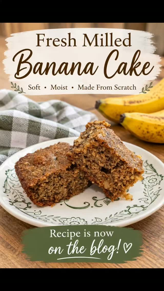 Those ripe bananas in the freezer finally had their moment. 🍌

I turned them into this Fresh Milled Banana Cake, and it turned out so soft, moist, and full of homemade flavor.
I always keep peeled bananas in the freezer because they're perfect for baking. No waste, and there's always a reason to make something delicious!

🥣 The full recipe is now on the blog. I'd love to know—are you team banana bread, or would you choose banana cake?

#knowwhereyourfoodcomesfrom #bakingfromscratch #bananacake #FreshMilledFlour #morethanwecanimaginehomestead